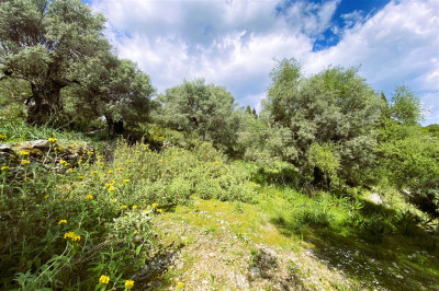 Meganisi Nature Serenity 03.jpg
